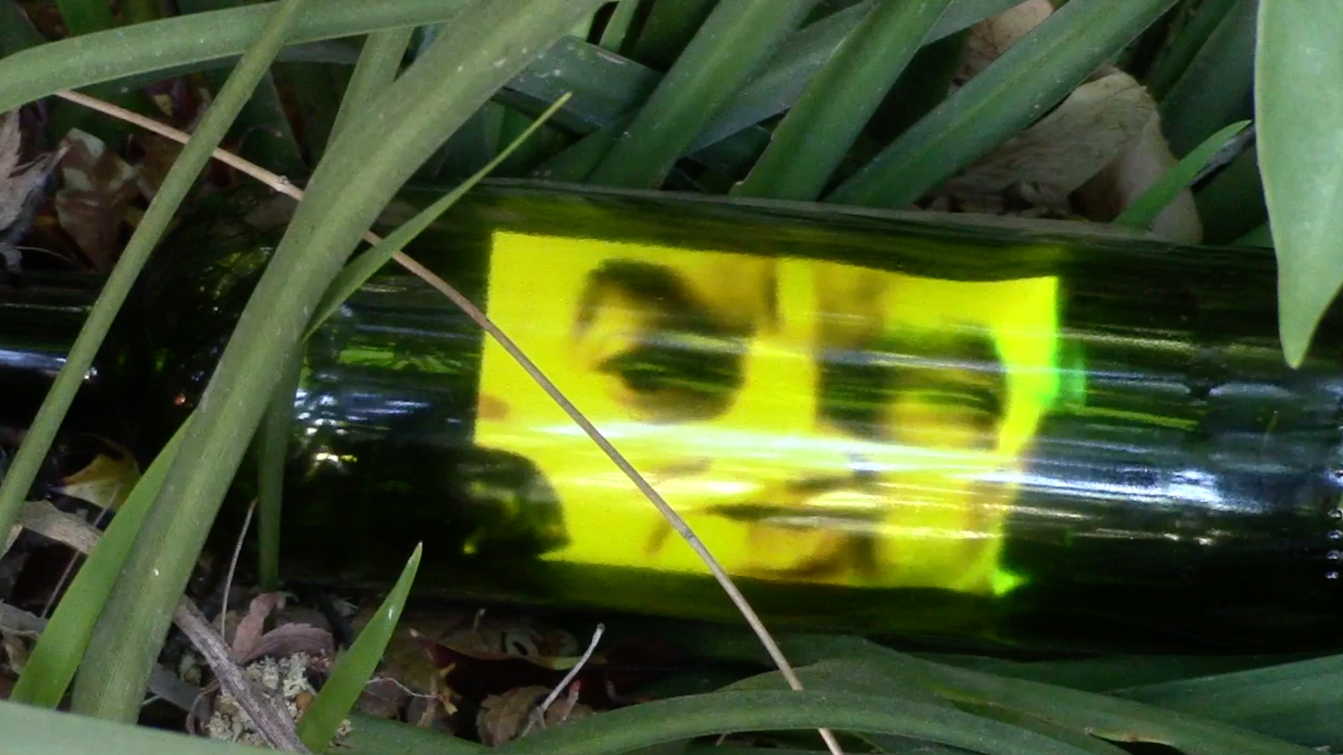 wikiGong Message in a Bottle