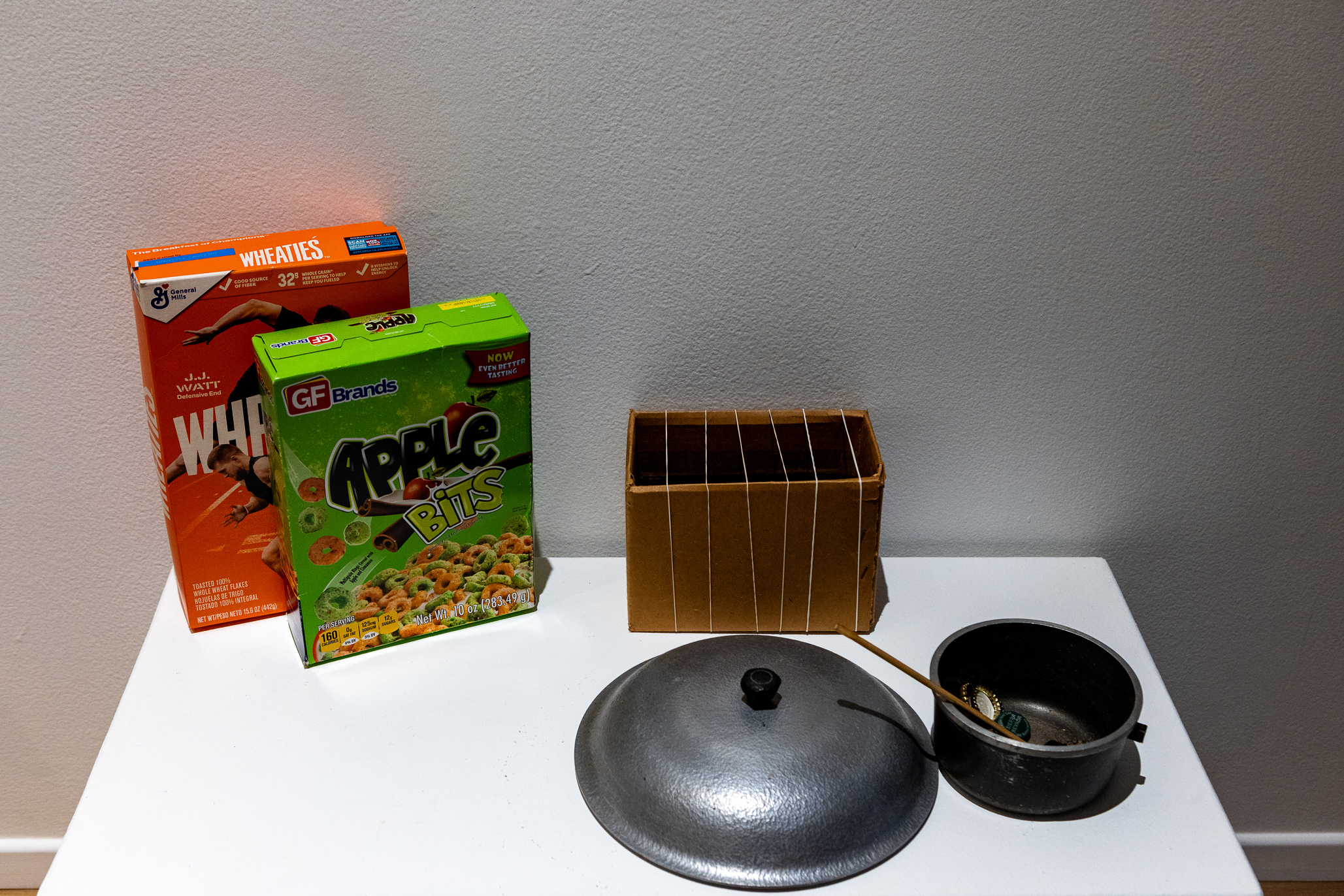 Percussion, Cereal Box Orchestra, Rubber band Box Orchestra Interactives 2009-2013, Francene Kaplan Household | Photo: Jose Cordon
